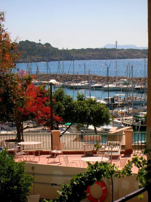 Maison d'hôtes La Mimosa Palma